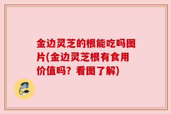 金边灵芝的根能吃吗图片(金边灵芝根有食用价值吗？看图了解)