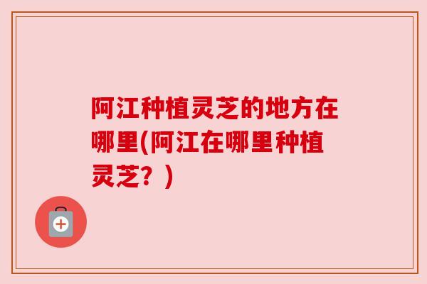 阿江种植灵芝的地方在哪里(阿江在哪里种植灵芝？)