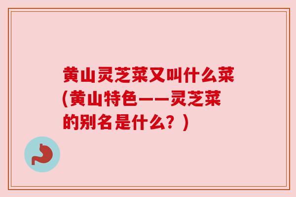 黄山灵芝菜又叫什么菜(黄山特色——灵芝菜的别名是什么？)
