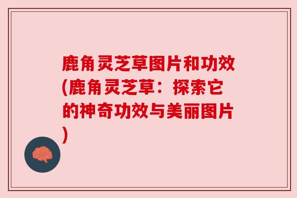 鹿角灵芝草图片和功效(鹿角灵芝草：探索它的神奇功效与美丽图片)