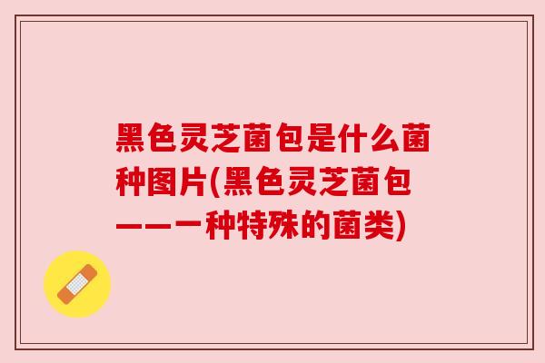 黑色灵芝菌包是什么菌种图片(黑色灵芝菌包——一种特殊的菌类)
