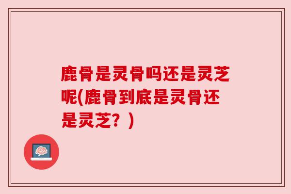鹿骨是灵骨吗还是灵芝呢(鹿骨到底是灵骨还是灵芝？)