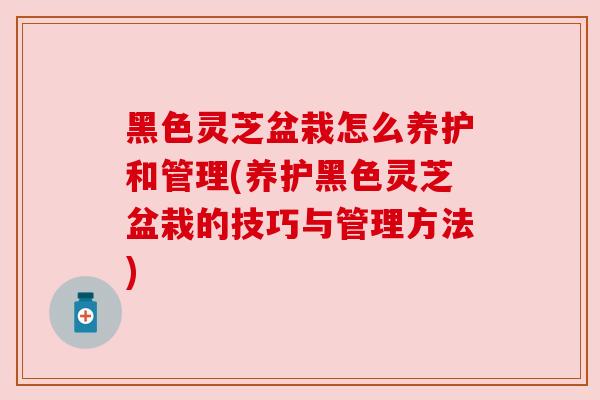 黑色灵芝盆栽怎么养护和管理(养护黑色灵芝盆栽的技巧与管理方法)