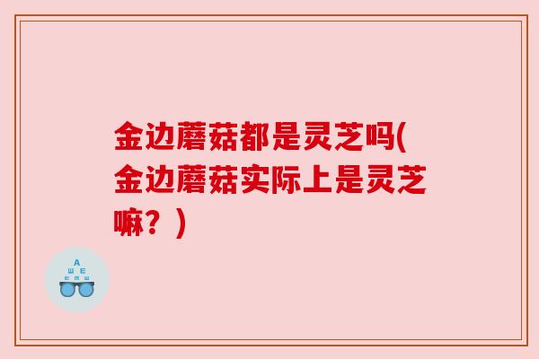 金边蘑菇都是灵芝吗(金边蘑菇实际上是灵芝嘛？)