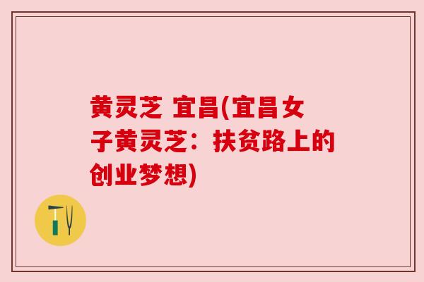 黄灵芝 宜昌(宜昌女子黄灵芝：扶贫路上的创业梦想)