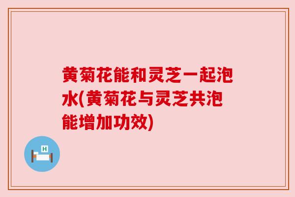 黄菊花能和灵芝一起泡水(黄菊花与灵芝共泡能增加功效)