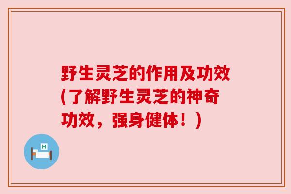 野生灵芝的作用及功效(了解野生灵芝的神奇功效，强身健体！)