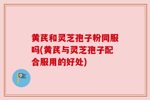 黄芪和灵芝孢子粉同服吗(黄芪与灵芝孢子配合服用的好处)