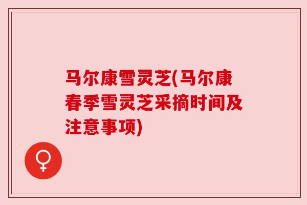 马尔康雪灵芝(马尔康春季雪灵芝采摘时间及注意事项)