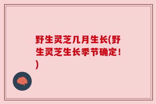 野生灵芝几月生长(野生灵芝生长季节确定!) 野生灵芝几月生长(野生灵芝生长季节确定!)