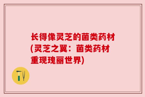 长得像灵芝的菌类药材(灵芝之翼:菌类药材重现瑰丽世界) 长得像灵芝的菌类药材(灵芝之翼:菌类药材重现瑰丽世界)