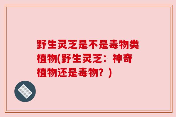 野生灵芝是不是毒物类植物(野生灵芝:神奇植物还是毒物?) 野生灵芝是不是毒物类植物(野生灵芝:神奇植物还是毒物?)