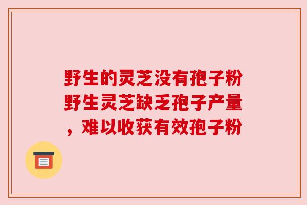 野生的灵芝没有孢子粉野生灵芝缺乏孢子产量，难以收获有效孢子粉