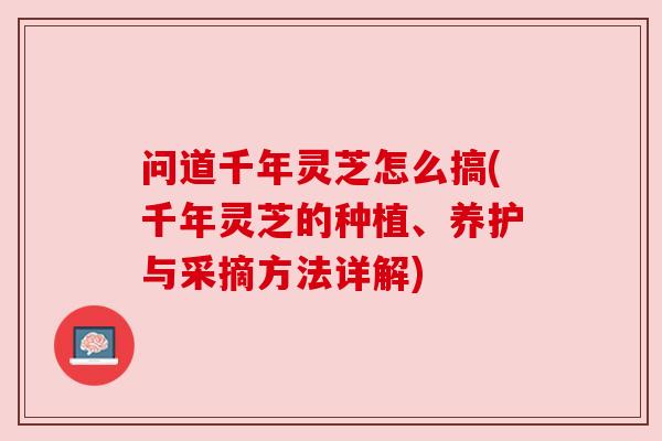 问道千年灵芝怎么搞(千年灵芝的种植、养护与采摘方法详解)