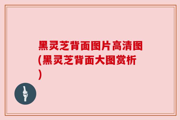黑灵芝背面图片高清图(黑灵芝背面大图赏析)