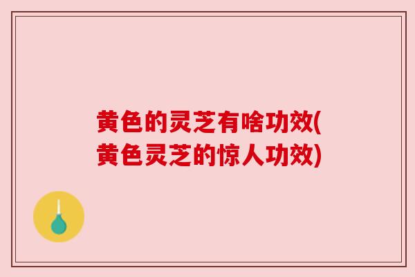 黄色的灵芝有啥功效(黄色灵芝的惊人功效)