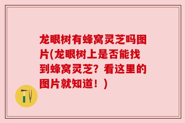 龙眼树有蜂窝灵芝吗图片(龙眼树上是否能找到蜂窝灵芝？看这里的图片就知道！)
