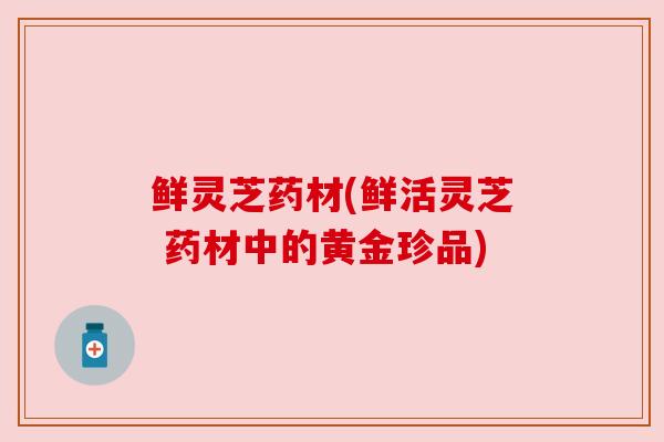 鲜灵芝药材(鲜活灵芝 药材中的黄金珍品) 鲜灵芝药材(鲜活灵芝 药材中的黄金珍品)