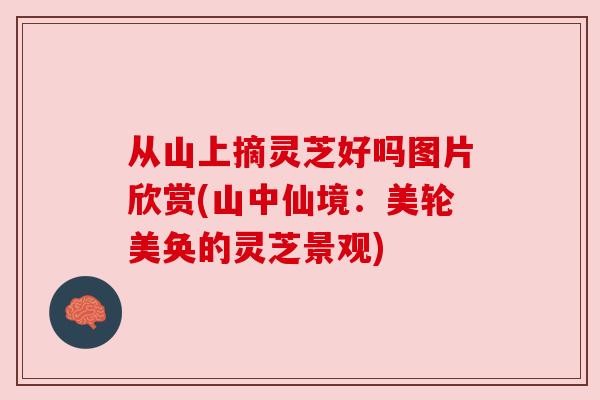 从山上摘灵芝好吗图片欣赏(山中仙境:美轮美奂的灵芝景观) 从山上摘灵芝好吗图片欣赏(山中仙境:美轮美奂的灵芝景观)