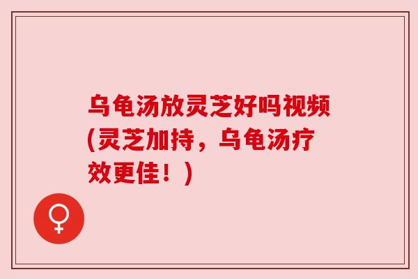 乌龟汤放灵芝好吗视频(灵芝加持,乌龟汤疗效更佳!) 乌龟汤放灵芝好吗视频(灵芝加持,乌龟汤疗效更佳!)