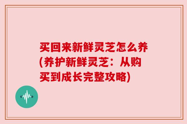 买回来新鲜灵芝怎么养(养护新鲜灵芝:从购买到成长完整攻略) 买回来新鲜灵芝怎么养(养护新鲜灵芝:从购买到成长完整攻略)