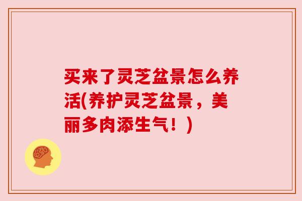 买来了灵芝盆景怎么养活(养护灵芝盆景，美丽多肉添生气！)