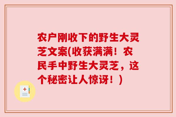 农户刚收下的野生大灵芝文案(收获满满!农民手中野生大灵芝,这个秘密让人惊讶!) 农户刚收下的野生大灵芝文案(收获满满!农民手中野生大灵芝,这个秘密让人惊讶!)