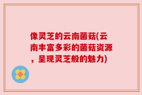像灵芝的云南菌菇(云南丰富多彩的菌菇资源，呈现灵芝般的魅力)