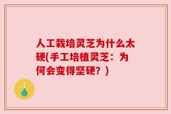 人工栽培灵芝为什么太硬(手工培植灵芝:为何会变得坚硬?) 人工栽培灵芝为什么太硬(手工培植灵芝:为何会变得坚硬?)