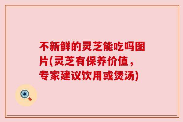 不新鲜的灵芝能吃吗图片(灵芝有保养价值，专家建议饮用或煲汤)