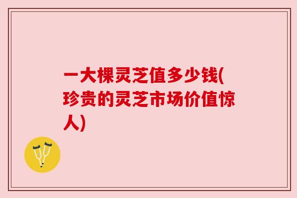 一大棵灵芝值多少钱(珍贵的灵芝市场价值惊人) 一大棵灵芝值多少钱(珍贵的灵芝市场价值惊人)