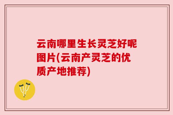 云南哪里生长灵芝好呢图片(云南产灵芝的优质产地推荐) 云南哪里生长灵芝好呢图片(云南产灵芝的优质产地推荐)
