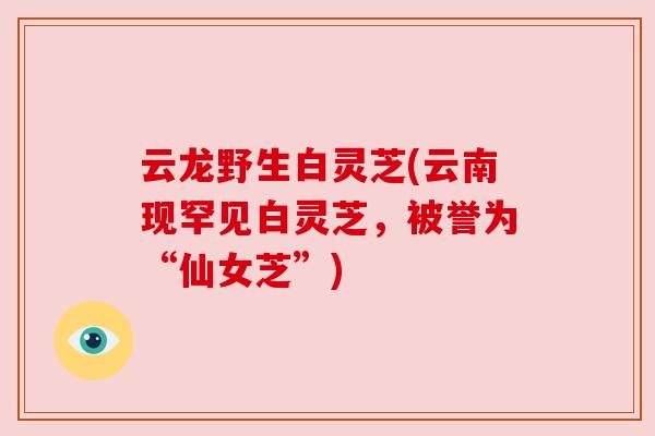 云龙野生白灵芝(云南现罕见白灵芝,被誉为“仙女芝”) 云龙野生白灵芝(云南现罕见白灵芝,被誉为“仙女芝”)