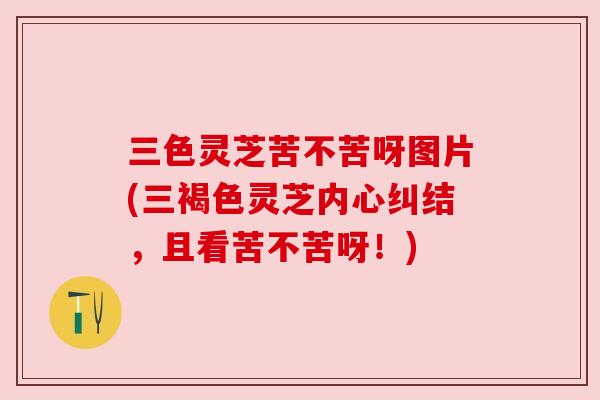 三色灵芝苦不苦呀图片(三褐色灵芝内心纠结,且看苦不苦呀!) 三色灵芝苦不苦呀图片(三褐色灵芝内心纠结,且看苦不苦呀!)