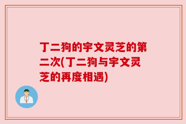 丁二狗的宇文灵芝的第二次(丁二狗与宇文灵芝的再度相遇) 丁二狗的宇文灵芝的第二次(丁二狗与宇文灵芝的再度相遇)