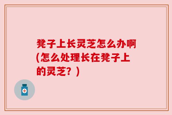 凳子上长灵芝怎么办啊(怎么处理长在凳子上的灵芝?) 凳子上长灵芝怎么办啊(怎么处理长在凳子上的灵芝?)