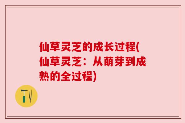 仙草灵芝的成长过程(仙草灵芝:从萌芽到成熟的全过程) 仙草灵芝的成长过程(仙草灵芝:从萌芽到成熟的全过程)