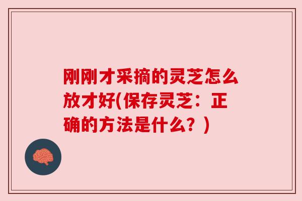 刚刚才采摘的灵芝怎么放才好(保存灵芝:正确的方法是什么?) 刚刚才采摘的灵芝怎么放才好(保存灵芝:正确的方法是什么?)