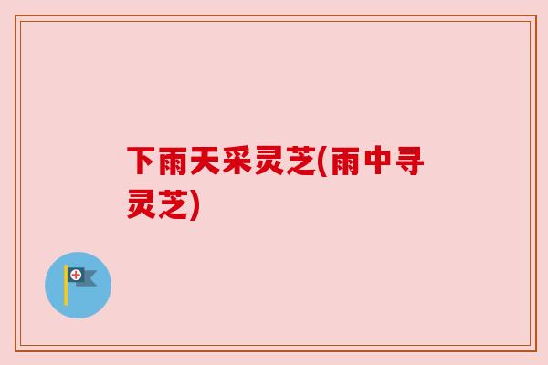 下雨天采灵芝(雨中寻灵芝) 下雨天采灵芝(雨中寻灵芝)