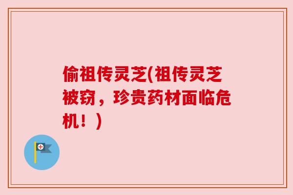 偷祖传灵芝(祖传灵芝被窃，珍贵药材面临危机！)