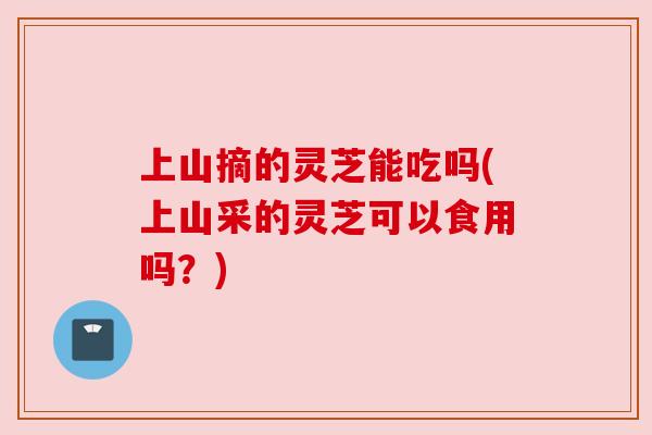 上山摘的灵芝能吃吗(上山采的灵芝可以食用吗?) 上山摘的灵芝能吃吗(上山采的灵芝可以食用吗?)