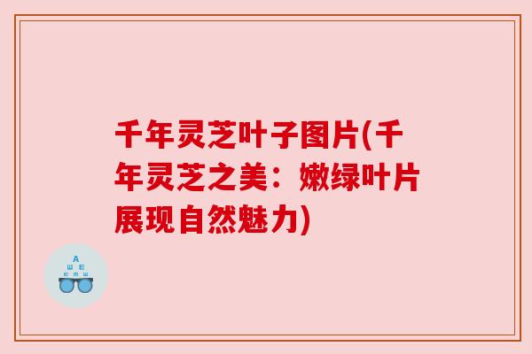 千年灵芝叶子图片(千年灵芝之美：嫩绿叶片展现自然魅力)
