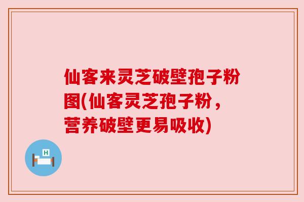 仙客来灵芝破壁孢子粉图(仙客灵芝孢子粉，营养破壁更易吸收)