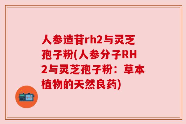 人参造苷rh2与灵芝孢子粉(人参分子RH2与灵芝孢子粉：草本植物的天然良药)