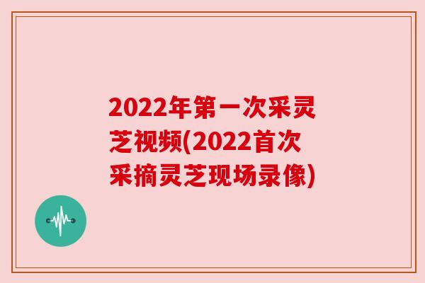 2022年第一次采灵芝视频(2022首次采摘灵芝现场录像) 2022年第一次采灵芝视频(2022首次采摘灵芝现场录像)