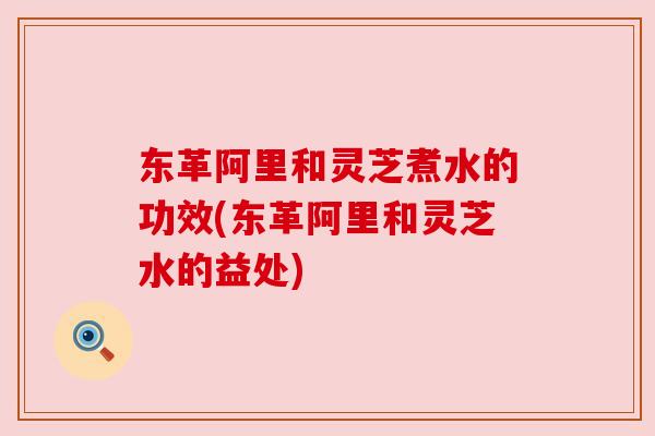 东革阿里和灵芝煮水的功效(东革阿里和灵芝水的益处)