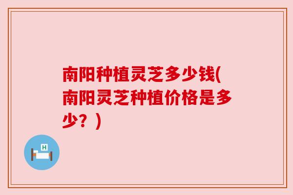南阳种植灵芝多少钱(南阳灵芝种植价格是多少？)