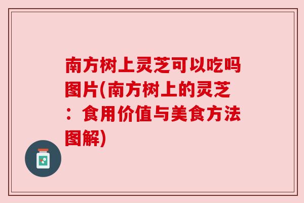 南方树上灵芝可以吃吗图片(南方树上的灵芝:食用价值与美食方法图解) 南方树上灵芝可以吃吗图片(南方树上的灵芝:食用价值与美食方法图解)