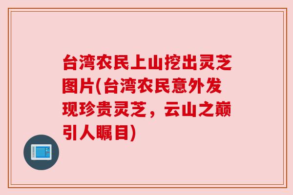 台湾农民上山挖出灵芝图片(台湾农民意外发现珍贵灵芝,云山之巅引人瞩目) 台湾农民上山挖出灵芝图片(台湾农民意外发现珍贵灵芝,云山之巅引人瞩目)