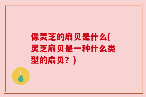 像灵芝的扇贝是什么(灵芝扇贝是一种什么类型的扇贝?) 像灵芝的扇贝是什么(灵芝扇贝是一种什么类型的扇贝?)